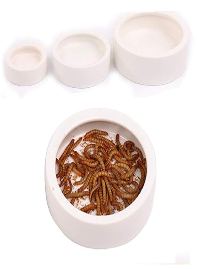 Abustle pig Reptile Food Water Bowl, 2 pcs Ceramics Worm Dish ,Anti-Escape Reptile Water Feeder ,Mealworm Bowl for Lizard Gecko Bearded Dragon, (S,M,L) (Large) - Image 3